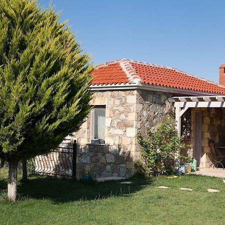 לינה וארוחת בוקר Mavikarga בוזקאדה מראה חיצוני תמונה