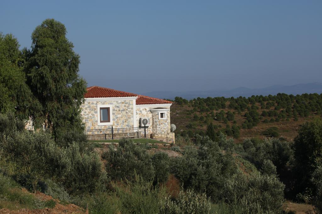 לינה וארוחת בוקר Mavikarga בוזקאדה מראה חיצוני תמונה