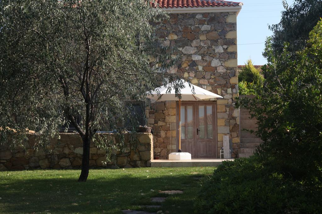 לינה וארוחת בוקר Mavikarga בוזקאדה חדר תמונה
